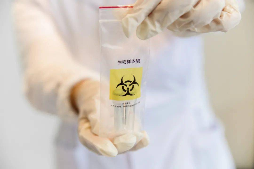游戏专题 第43页