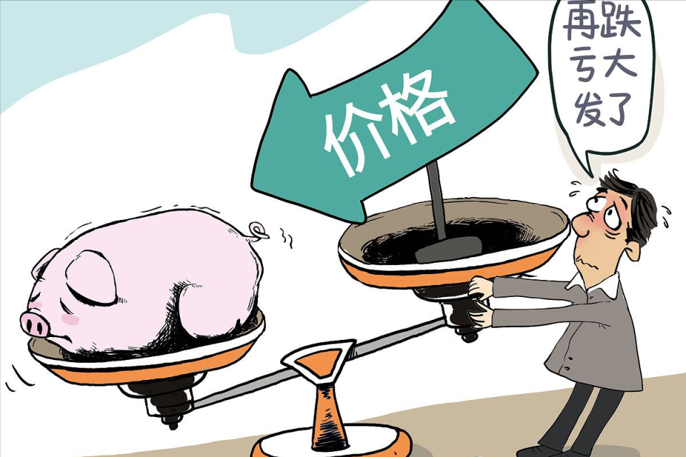 地方新闻 第30页