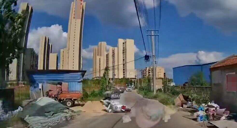 娱乐生活 第30页