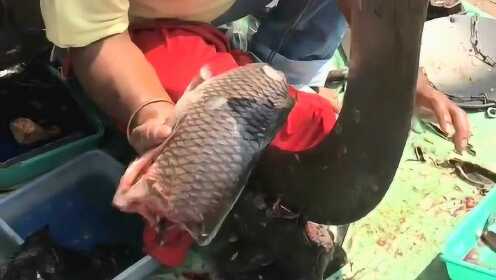 热点生活 第26页